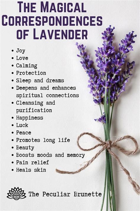 Magical properties of lavendar